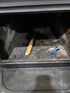 [Hearth.com] What Is In Your Stove Right Now?