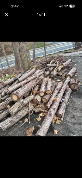 [Hearth.com] Another wood ID