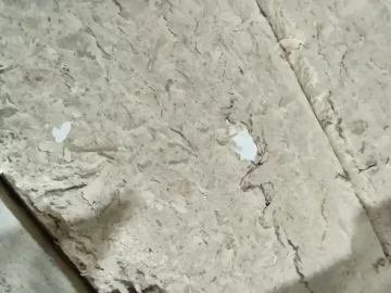 [Hearth.com] Sawdust brick quality - fyi (warning) for cat stove owners