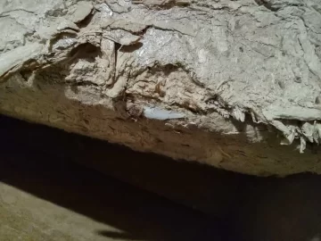 [Hearth.com] Sawdust brick quality - fyi (warning) for cat stove owners