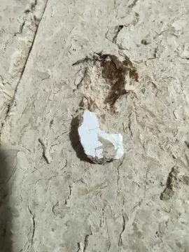 [Hearth.com] Sawdust brick quality - fyi (warning) for cat stove owners