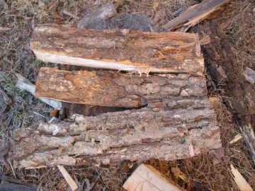 [Hearth.com] Truckload of Oak