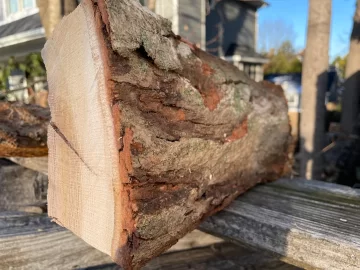 [Hearth.com] Wood ID