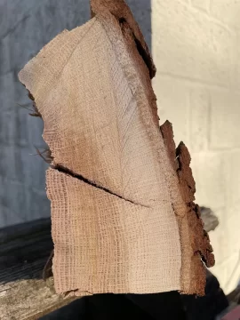 [Hearth.com] Wood ID