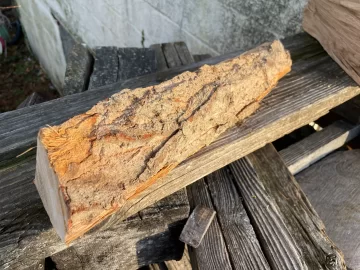 [Hearth.com] Wood ID