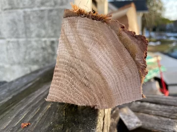 [Hearth.com] Wood ID