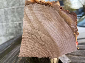 [Hearth.com] Wood ID