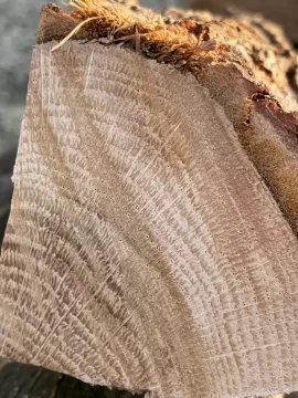 [Hearth.com] Wood ID