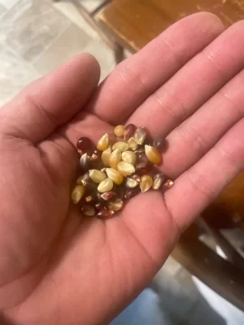 [Hearth.com] Cooking thread, anyone?