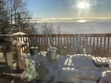 [Hearth.com] What Is In Your Stove Right Now?