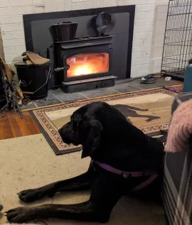 [Hearth.com] What Is In Your Stove Right Now?