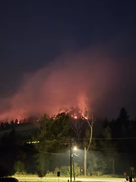 [Hearth.com] 181,000 wood burning  fireplaces and appliances sold last year?