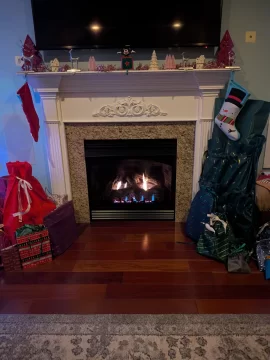 [Hearth.com] 181,000 wood burning  fireplaces and appliances sold last year?