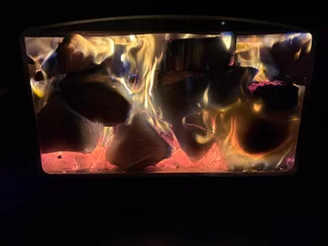 [Hearth.com] What Is In Your Stove Right Now?