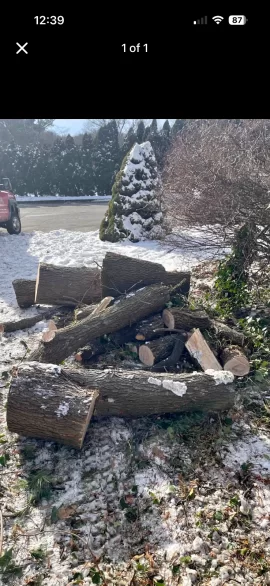 [Hearth.com] What have we got here?