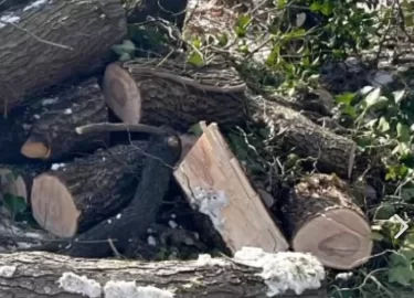 [Hearth.com] What have we got here?