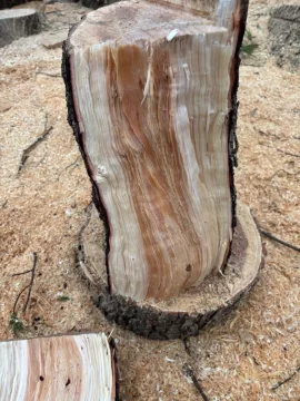 [Hearth.com] What have we got here?