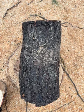 [Hearth.com] What have we got here?