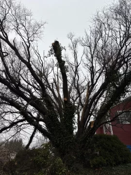 [Hearth.com] Work Done 2025