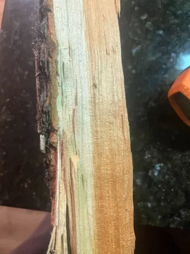 [Hearth.com] What have we got here?