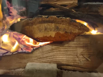 [Hearth.com] What Is In Your Stove Right Now?