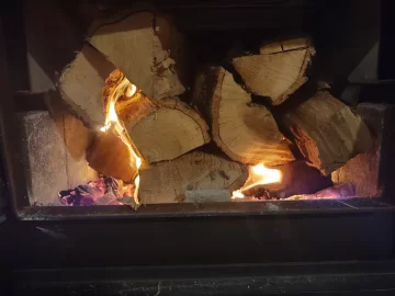 [Hearth.com] What Is In Your Stove Right Now?