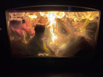 [Hearth.com] What Is In Your Stove Right Now?