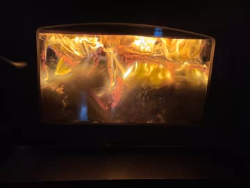 [Hearth.com] What Is In Your Stove Right Now?