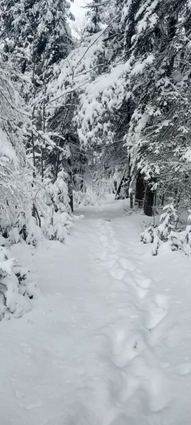 [Hearth.com] What Is In Your Stove Right Now?