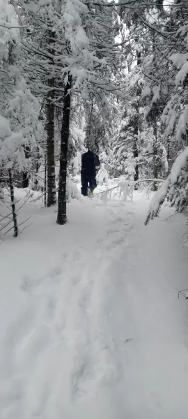 [Hearth.com] What Is In Your Stove Right Now?