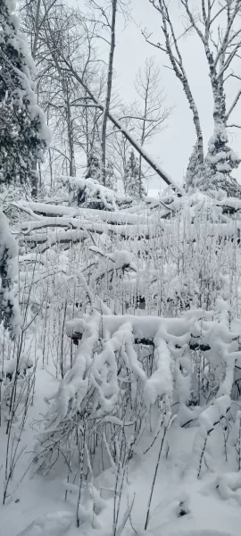 [Hearth.com] What Is In Your Stove Right Now?