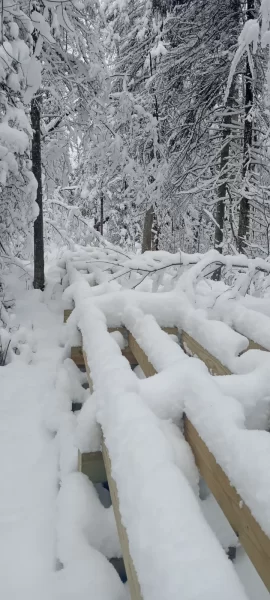[Hearth.com] What Is In Your Stove Right Now?