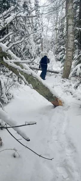 [Hearth.com] What Is In Your Stove Right Now?