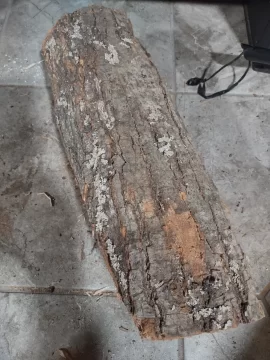 [Hearth.com] What Is In Your Stove Right Now?