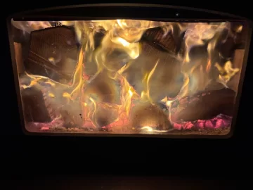 [Hearth.com] What Is In Your Stove Right Now?