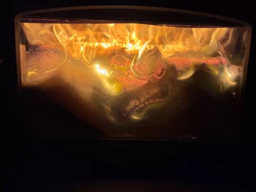 [Hearth.com] What Is In Your Stove Right Now?