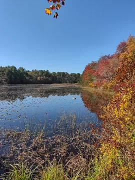 [Hearth.com] Sky Pictures