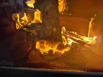 [Hearth.com] What Is In Your Stove Right Now?