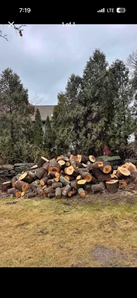 [Hearth.com] Tree ID