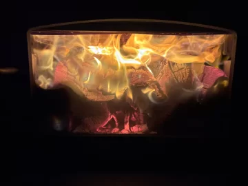 [Hearth.com] What Is In Your Stove Right Now?