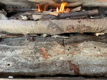 [Hearth.com] What Is In Your Stove Right Now?