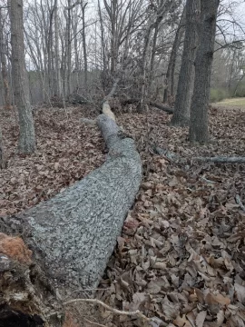 [Hearth.com] Work Done In 2026