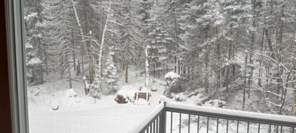 [Hearth.com] Work Done In 2026