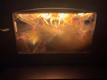 [Hearth.com] What Is In Your Stove Right Now?