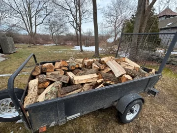 [Hearth.com] Tree ID