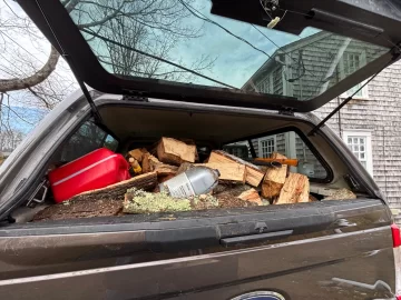 [Hearth.com] Tree ID