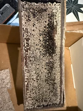 [Hearth.com] Failing/Separating Cat?