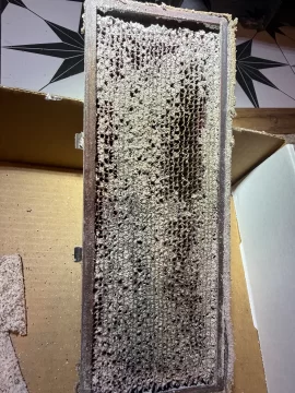 [Hearth.com] Failing/Separating Cat?