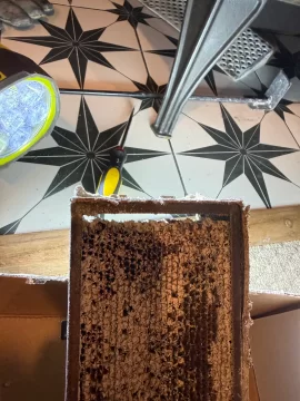 [Hearth.com] Failing/Separating Cat?