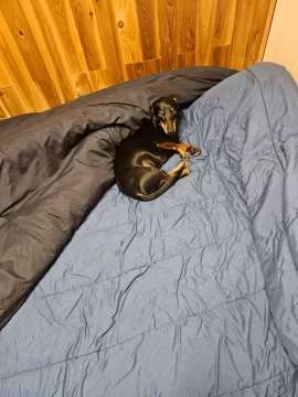 [Hearth.com] 2026 severe weather